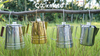 Diseño simple Caldera al aire libre Acero inoxidable Hervidor de copa brillante con mango de madera y tapa para acampar elaboración de café y té